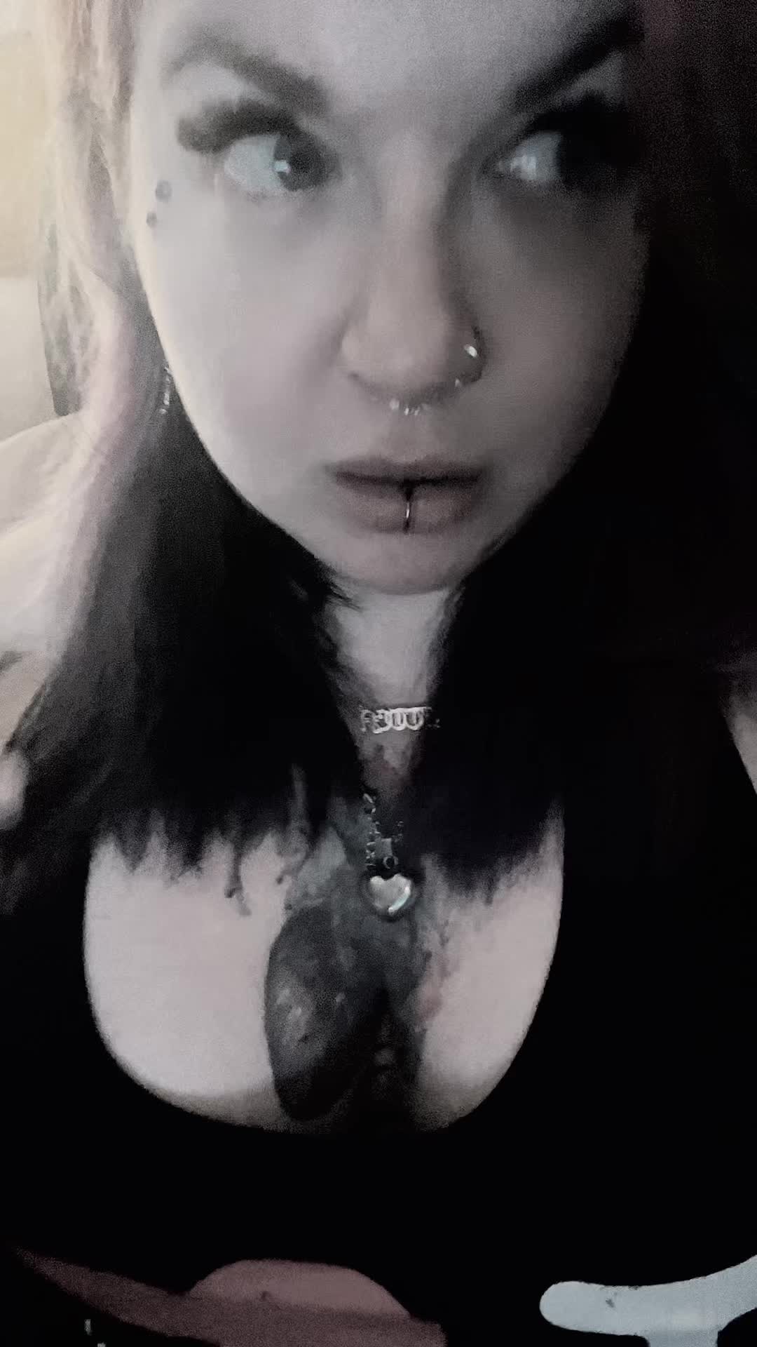 @Kitten