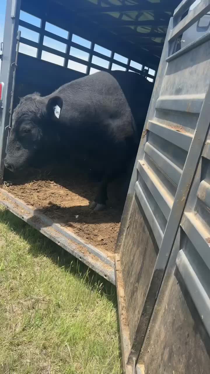 @Dakota Niederklein
