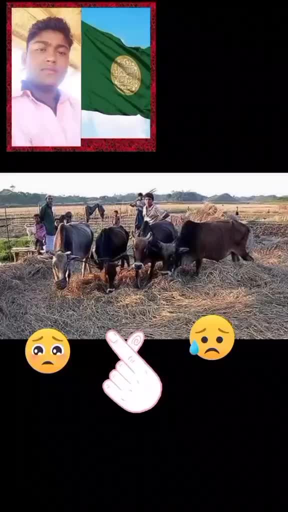 @user1042028491787