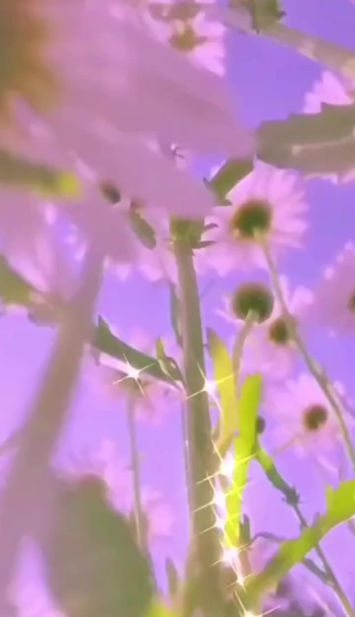 @Bích Liên