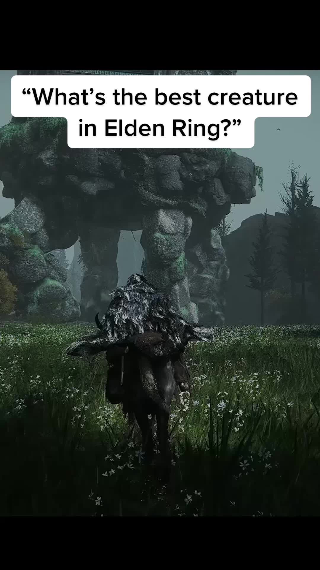 @FøNT