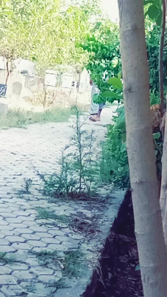 @Rajput Azaad Panchi