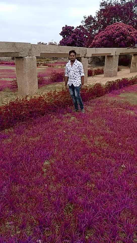 @Shivaraj Hampi