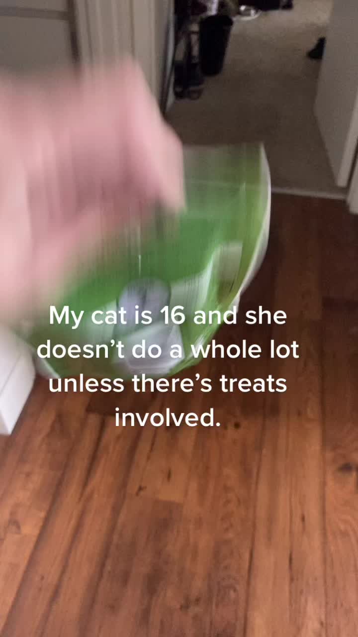 @Jenna