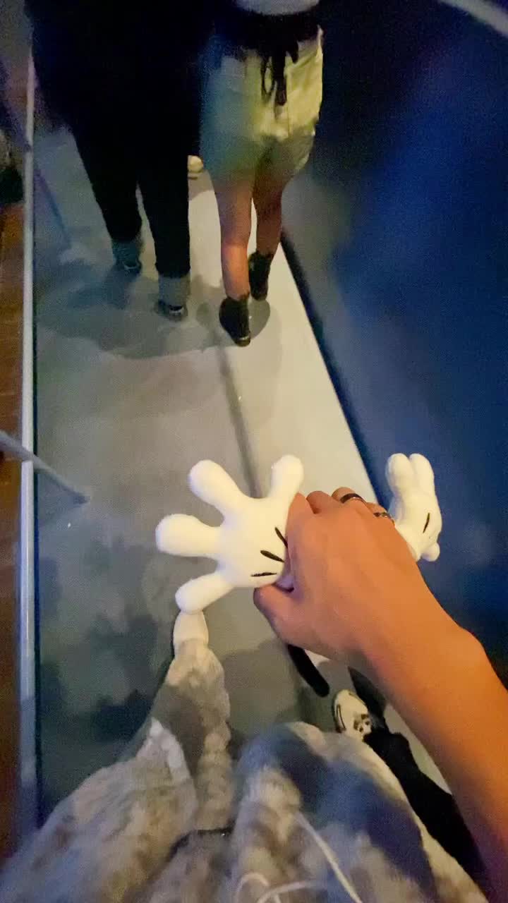 @(^∇^)