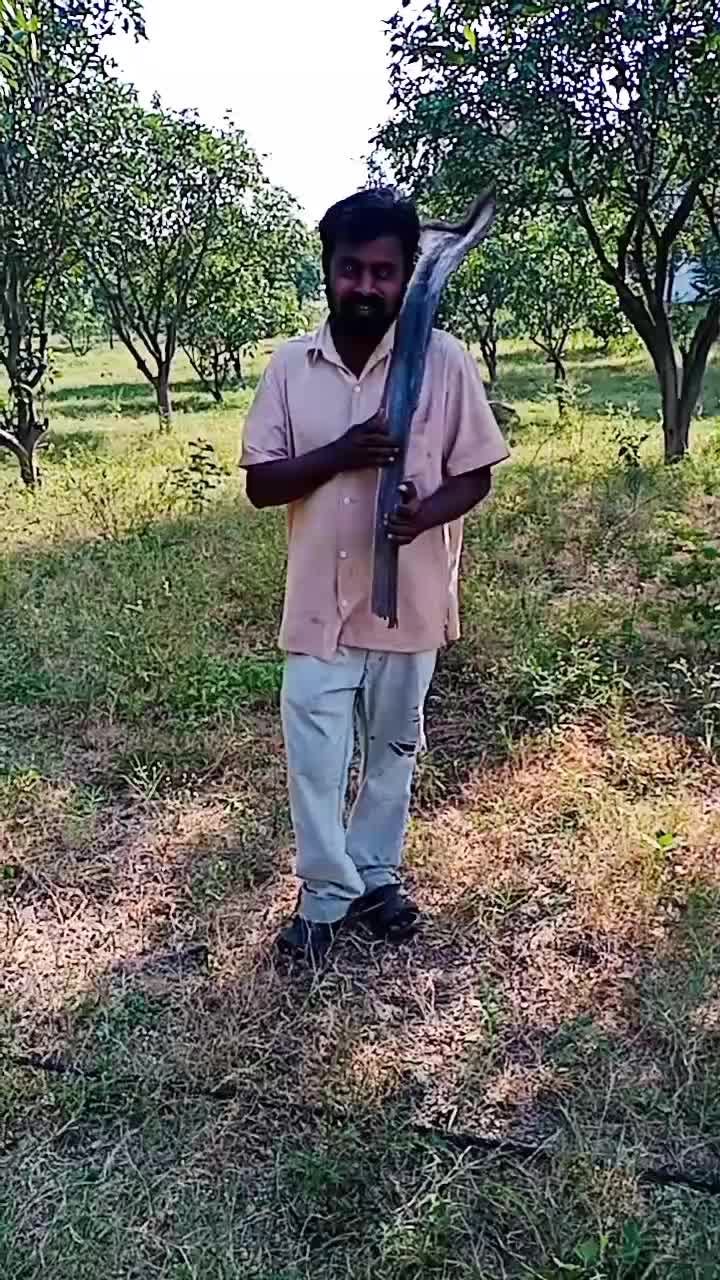 @k.sai Kumar goud