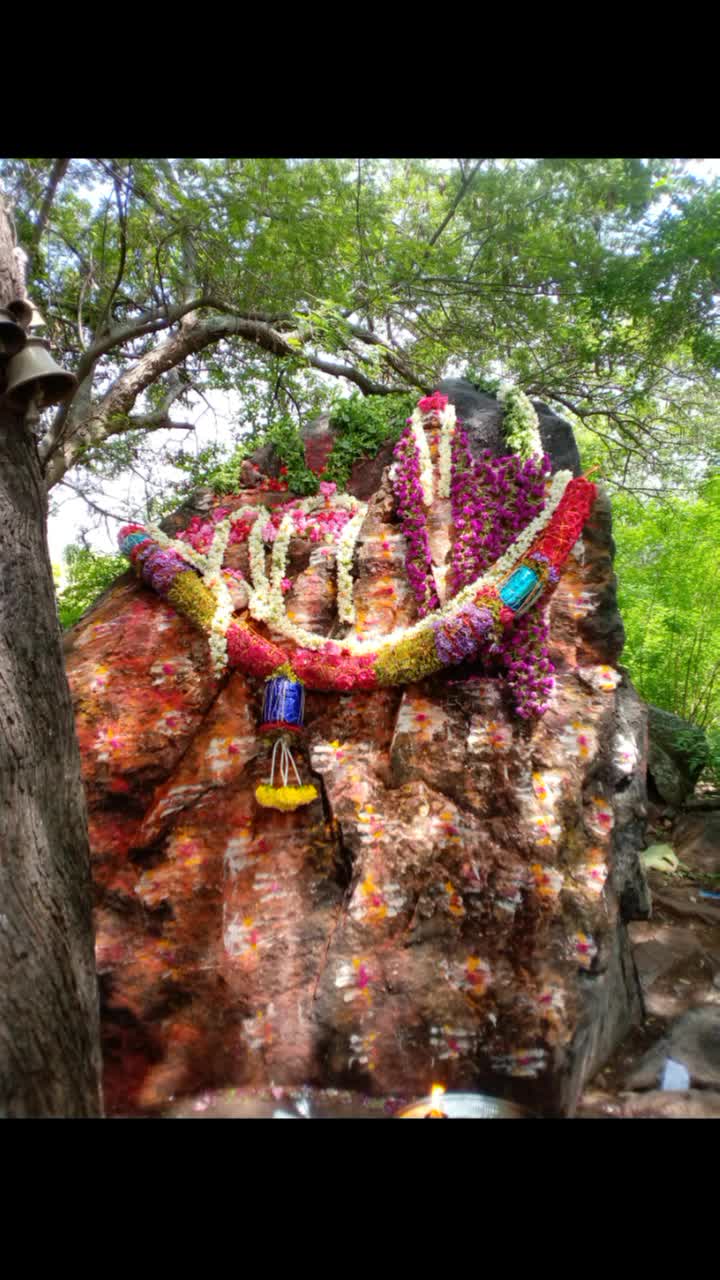 @ಗಡಿನಾಡು ಗುಂಡ್ಲುಪೇಟೆ