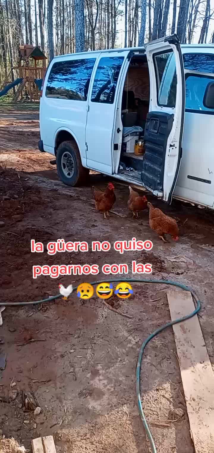 @Ramon P&eacute;rez Reza