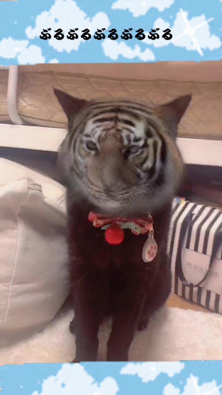 @Einシュタing