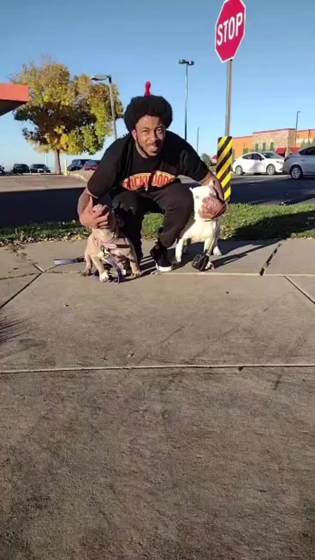 @pondsfreddy