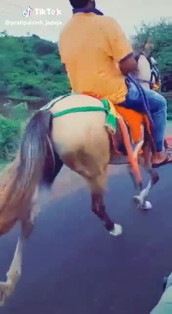 @rajpalsinh_jadeja
