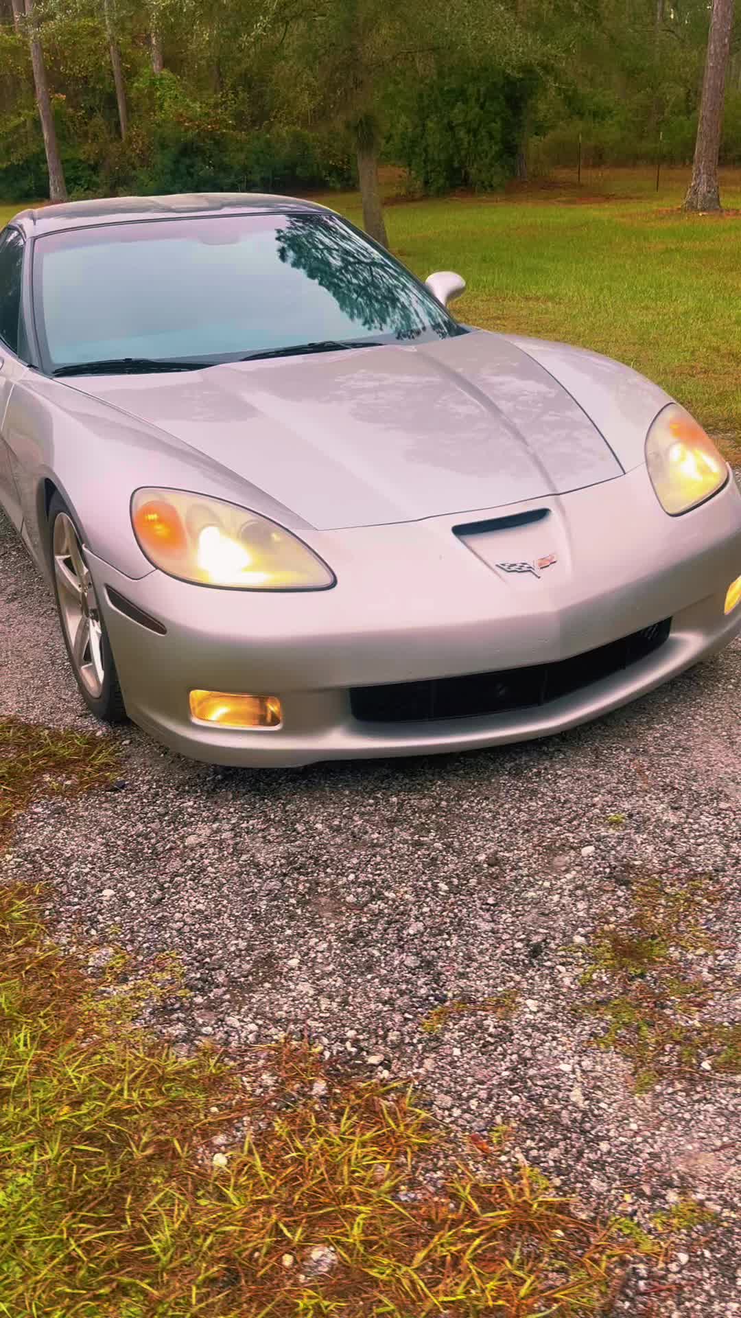 @Rowdys Dipping Vehicle Wraps