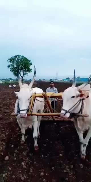 @PrachiNakhate1237