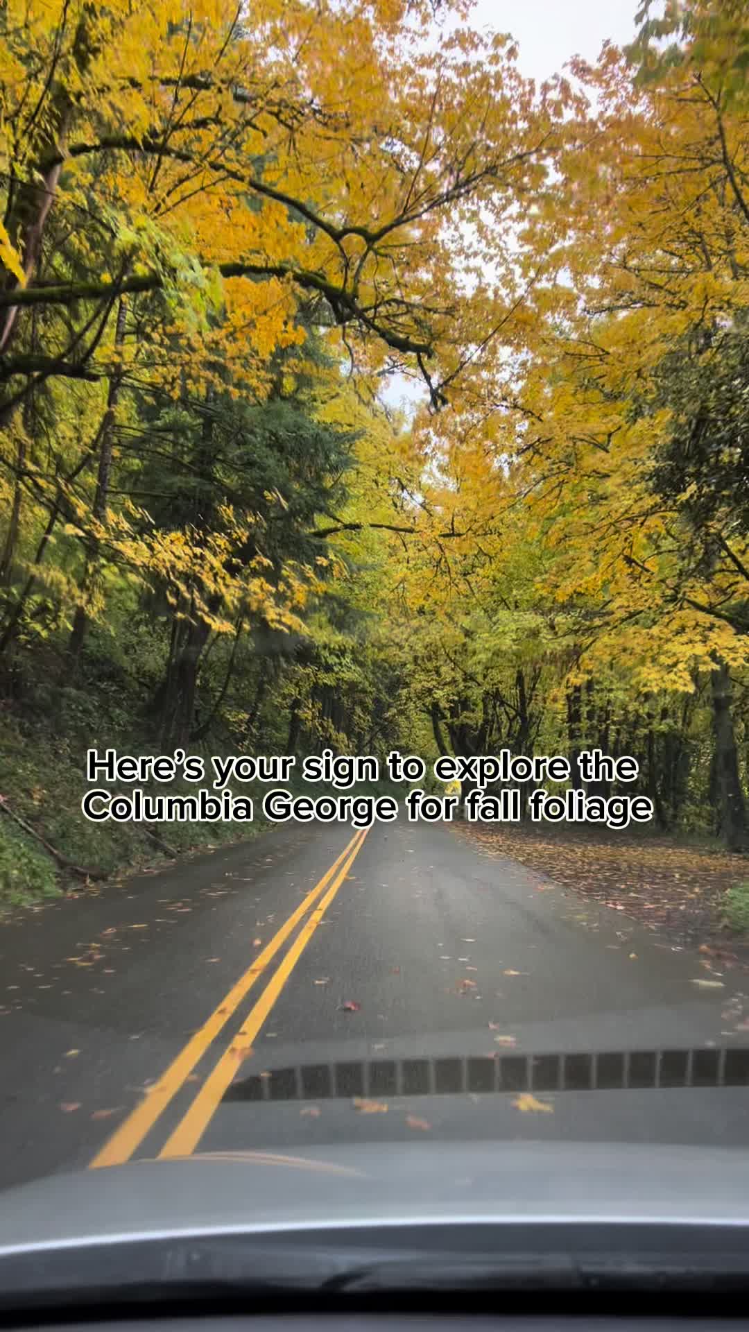 @Elizabeth.adventures