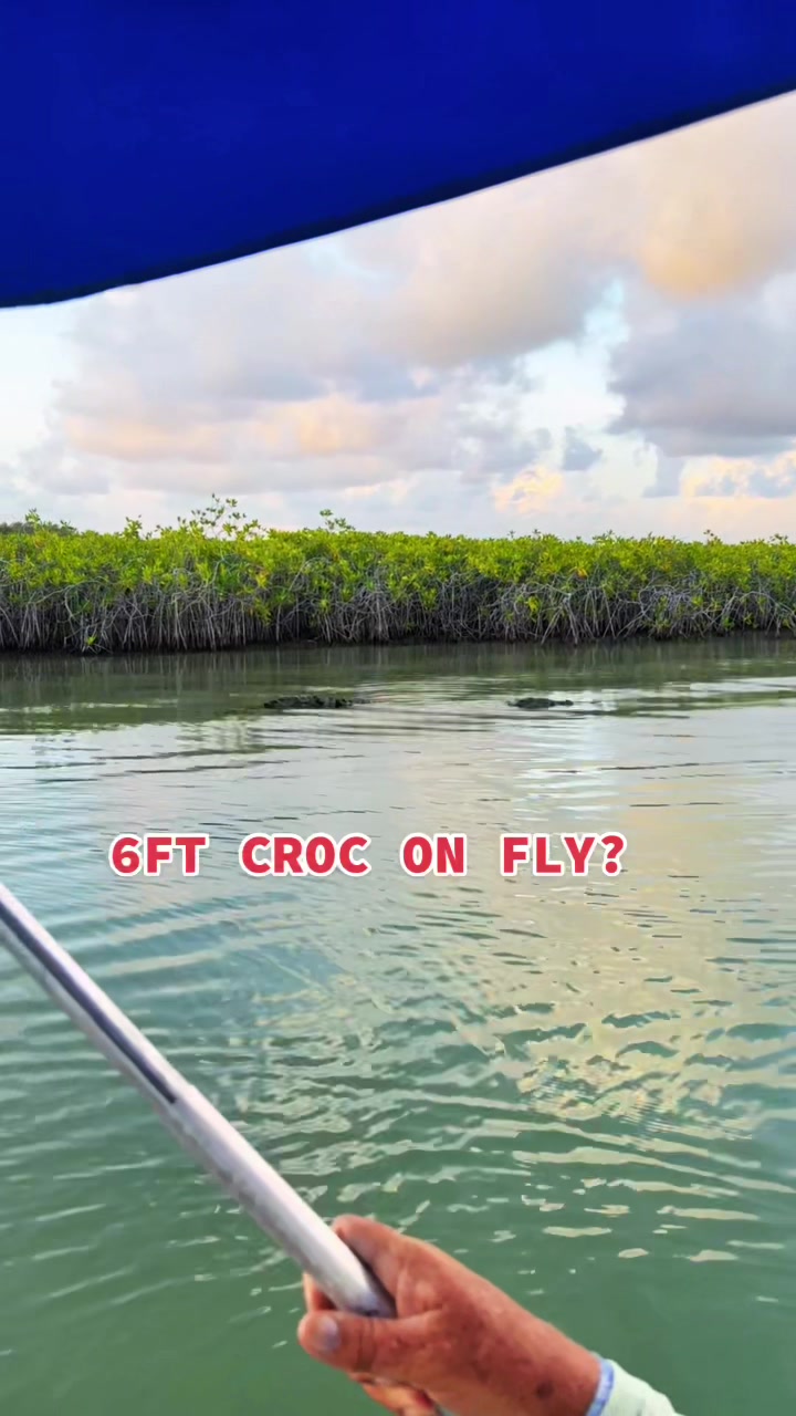 @Lord of the Flats