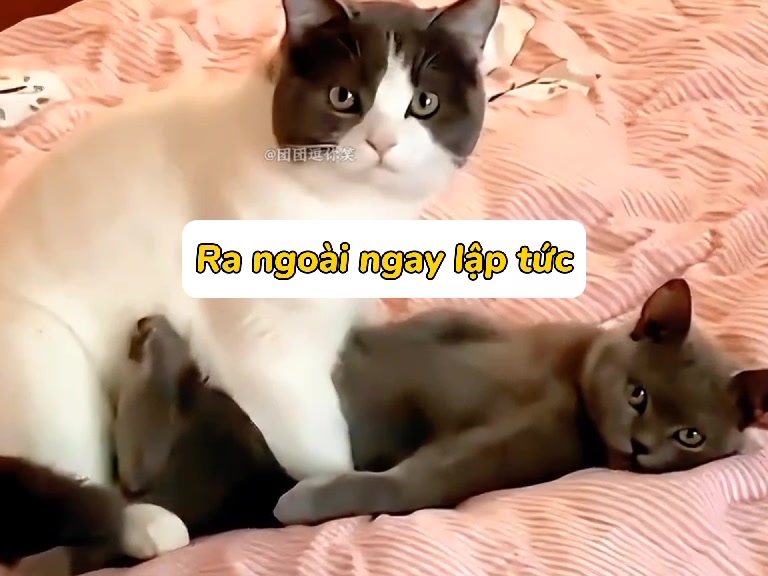 @clapclap