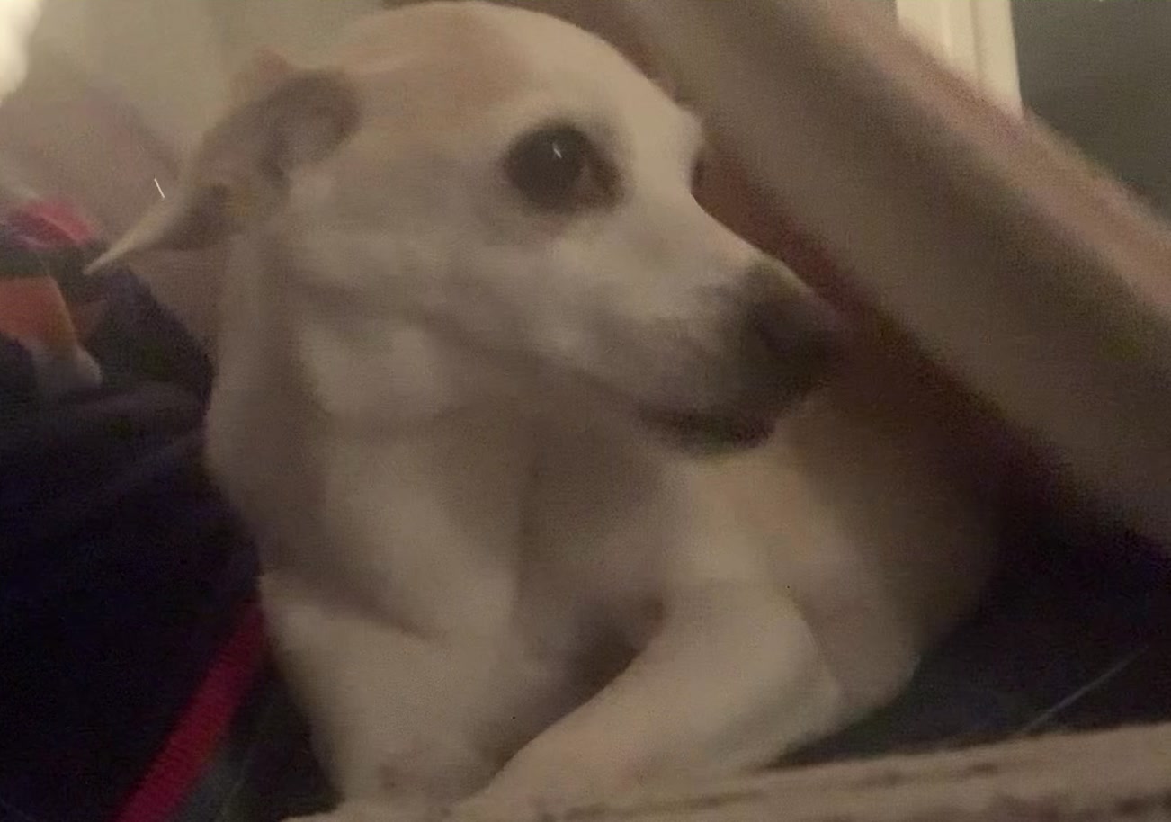 @Nala