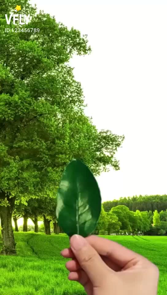 @tharshanshantquotes