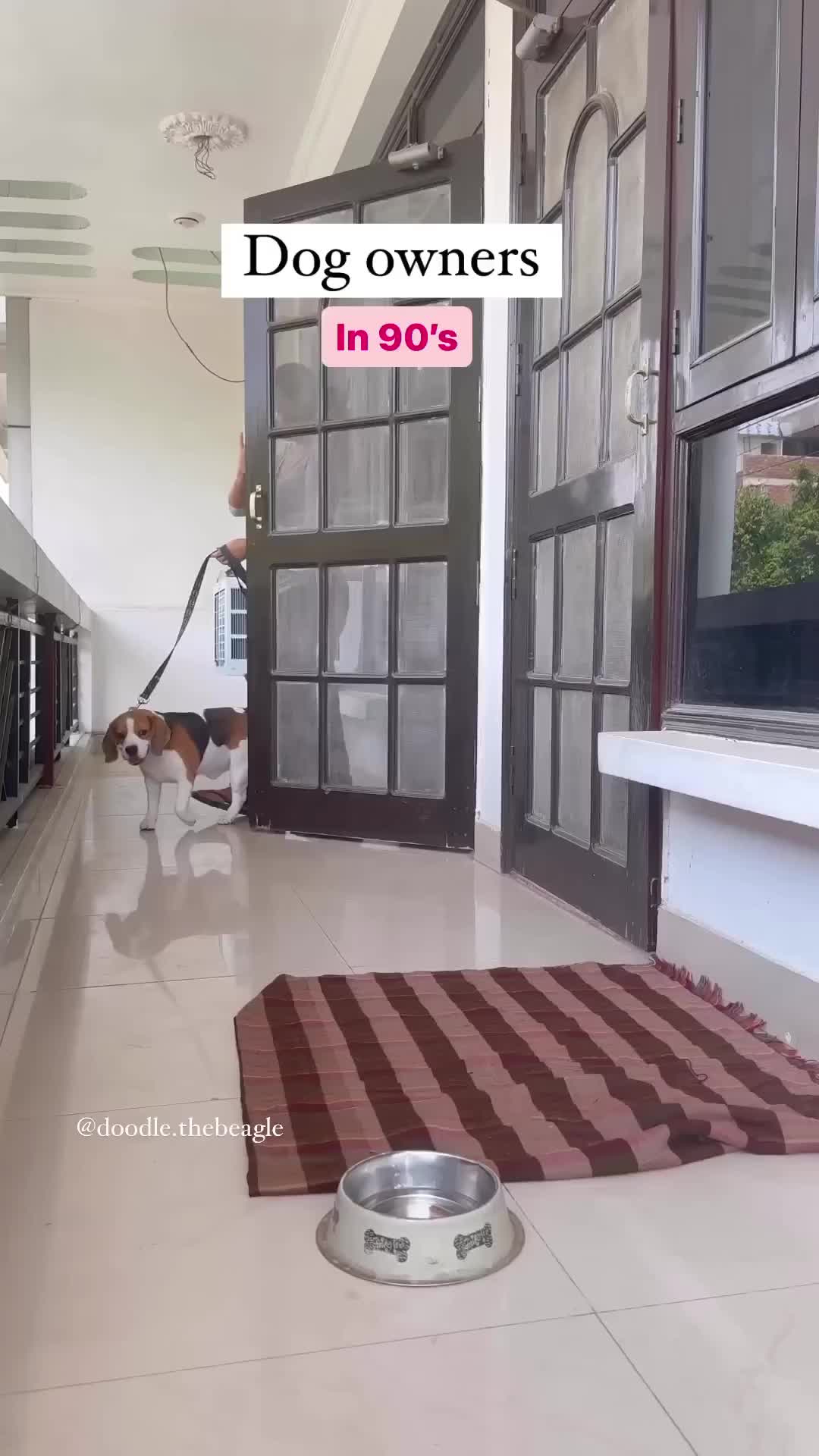 @pawfriends