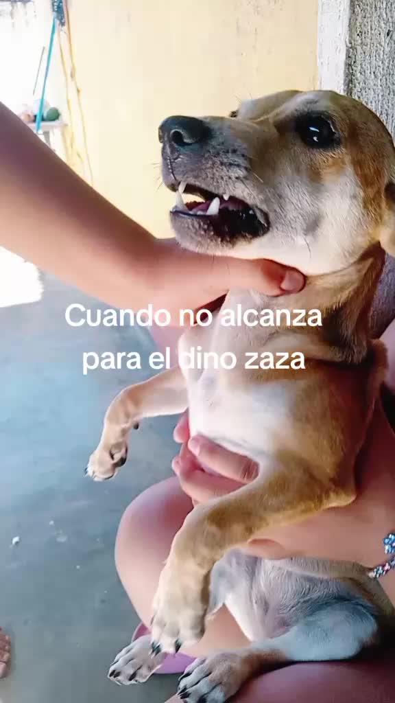 @Vicky.Morales🤩🇬🇹