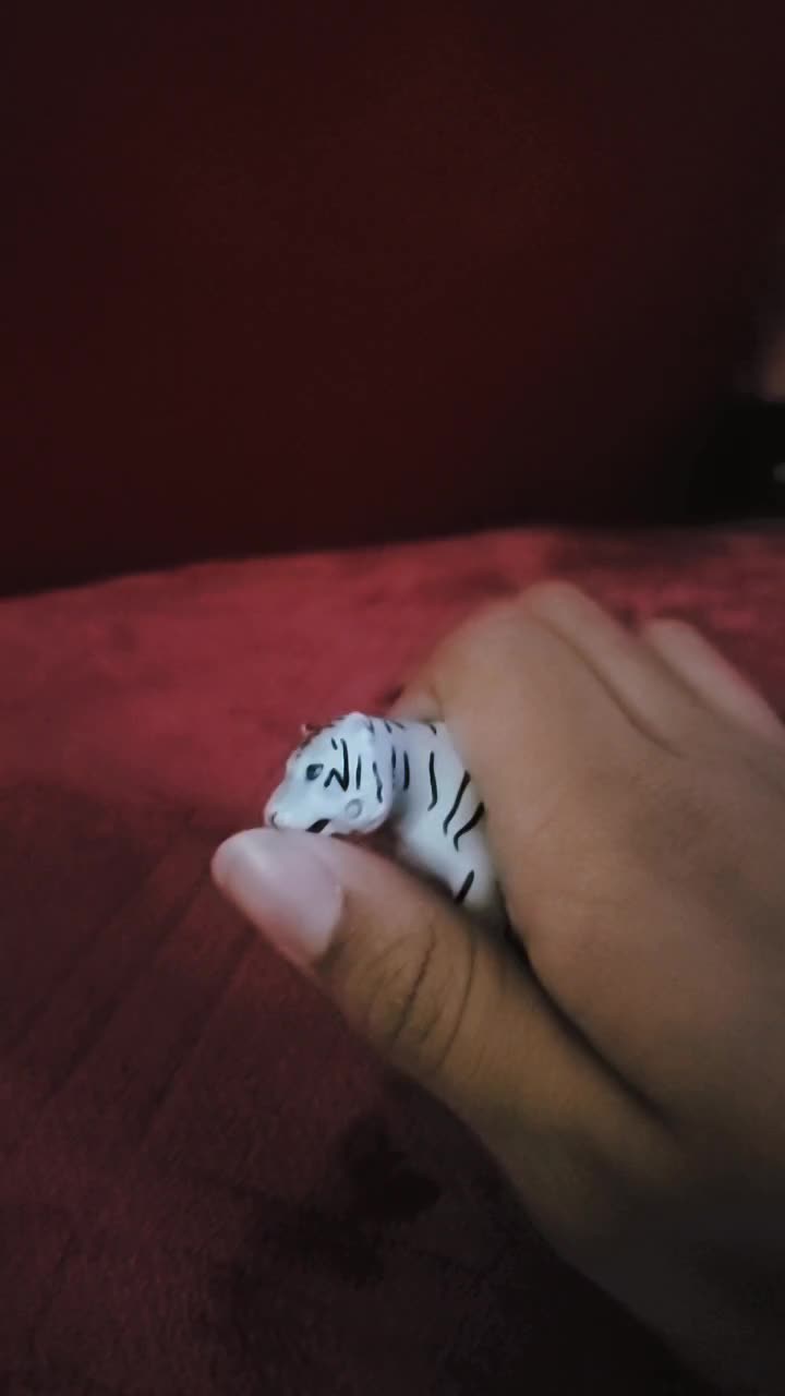 @Toy Tiktok