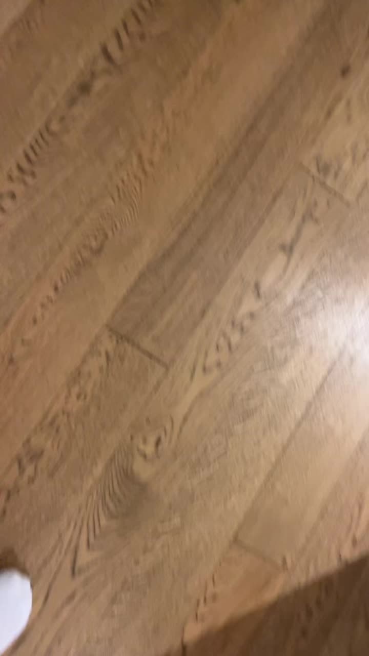 @TzevetShahash