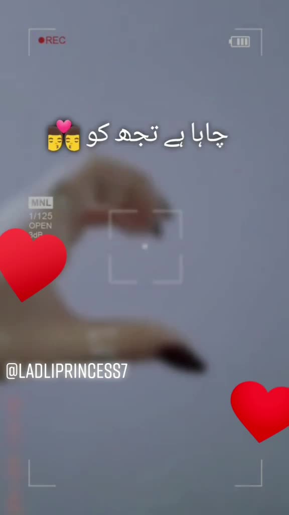 @Ladli Princess