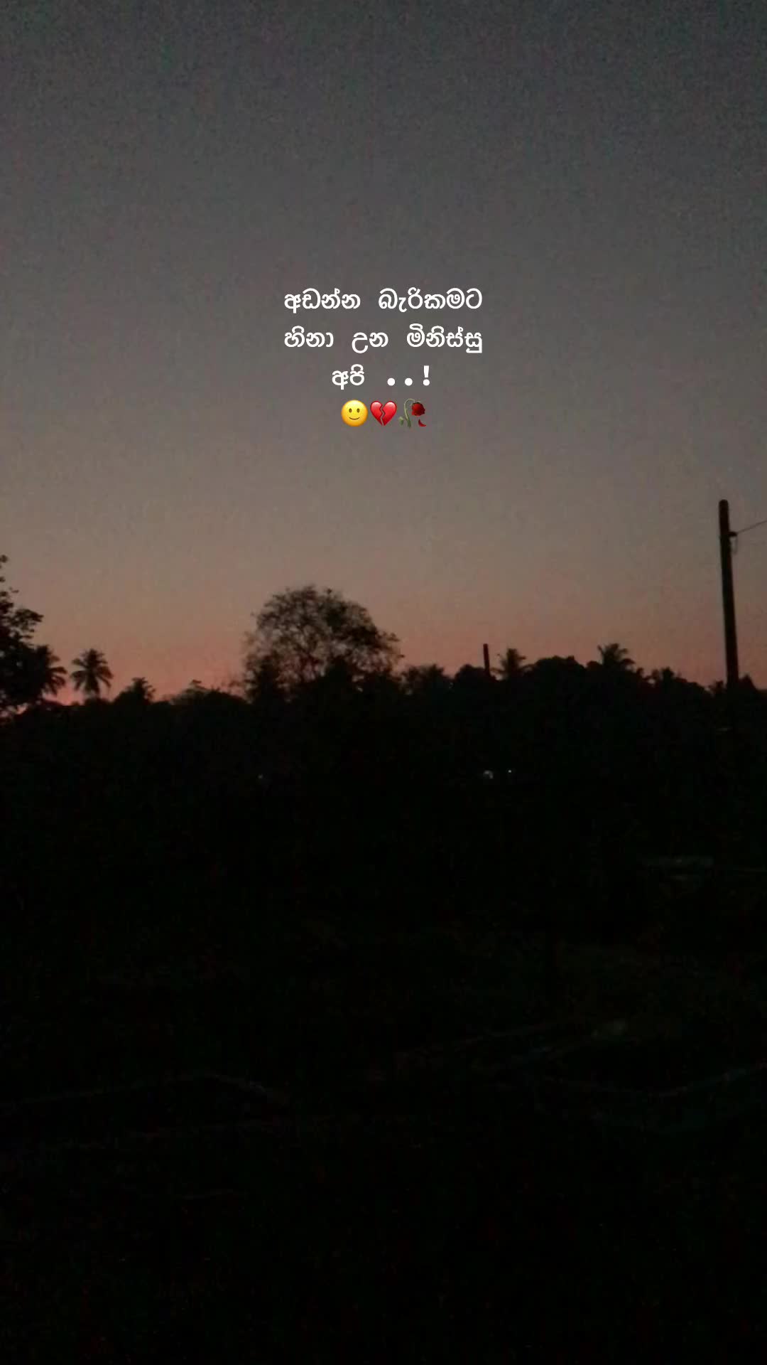 @ワンシ🌹💌