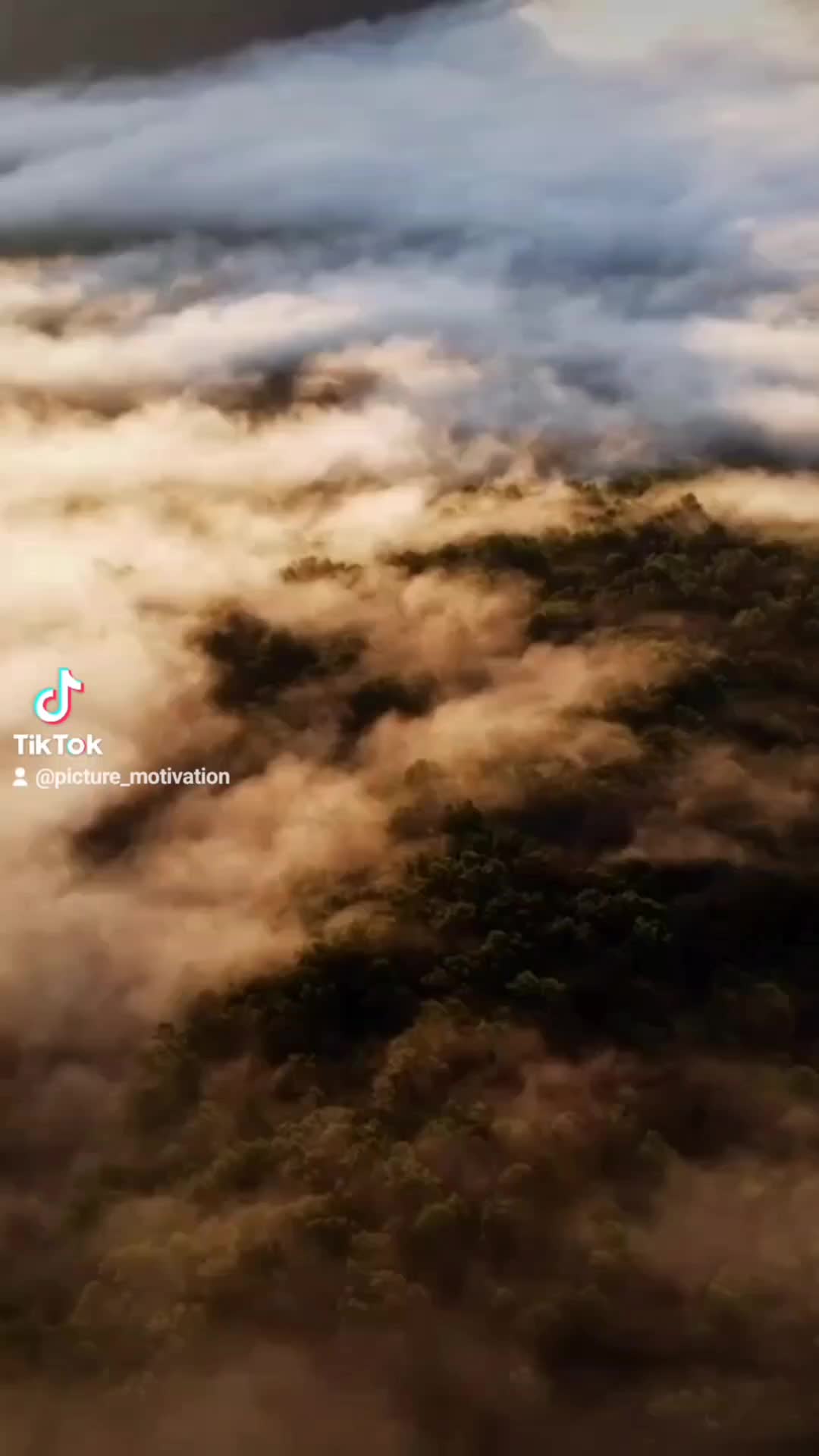 @Picture Motivation