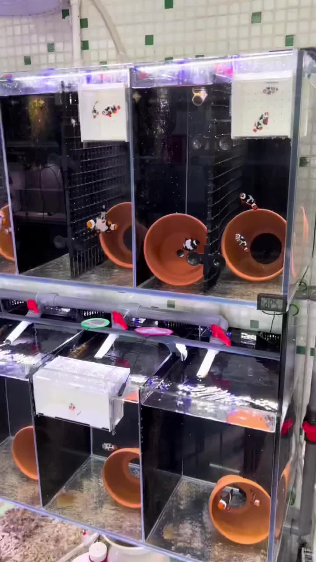 @Max