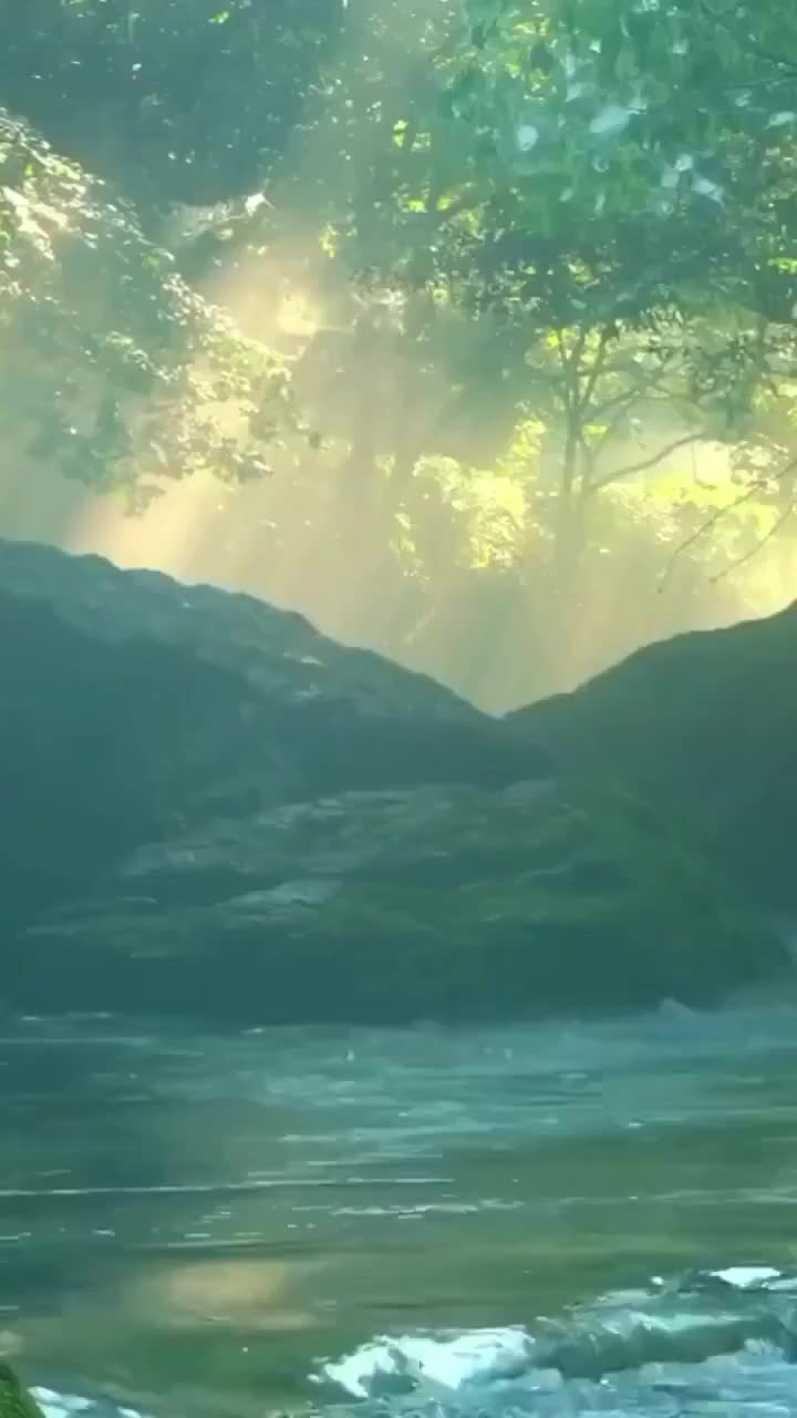 @cbdjskhbp0n