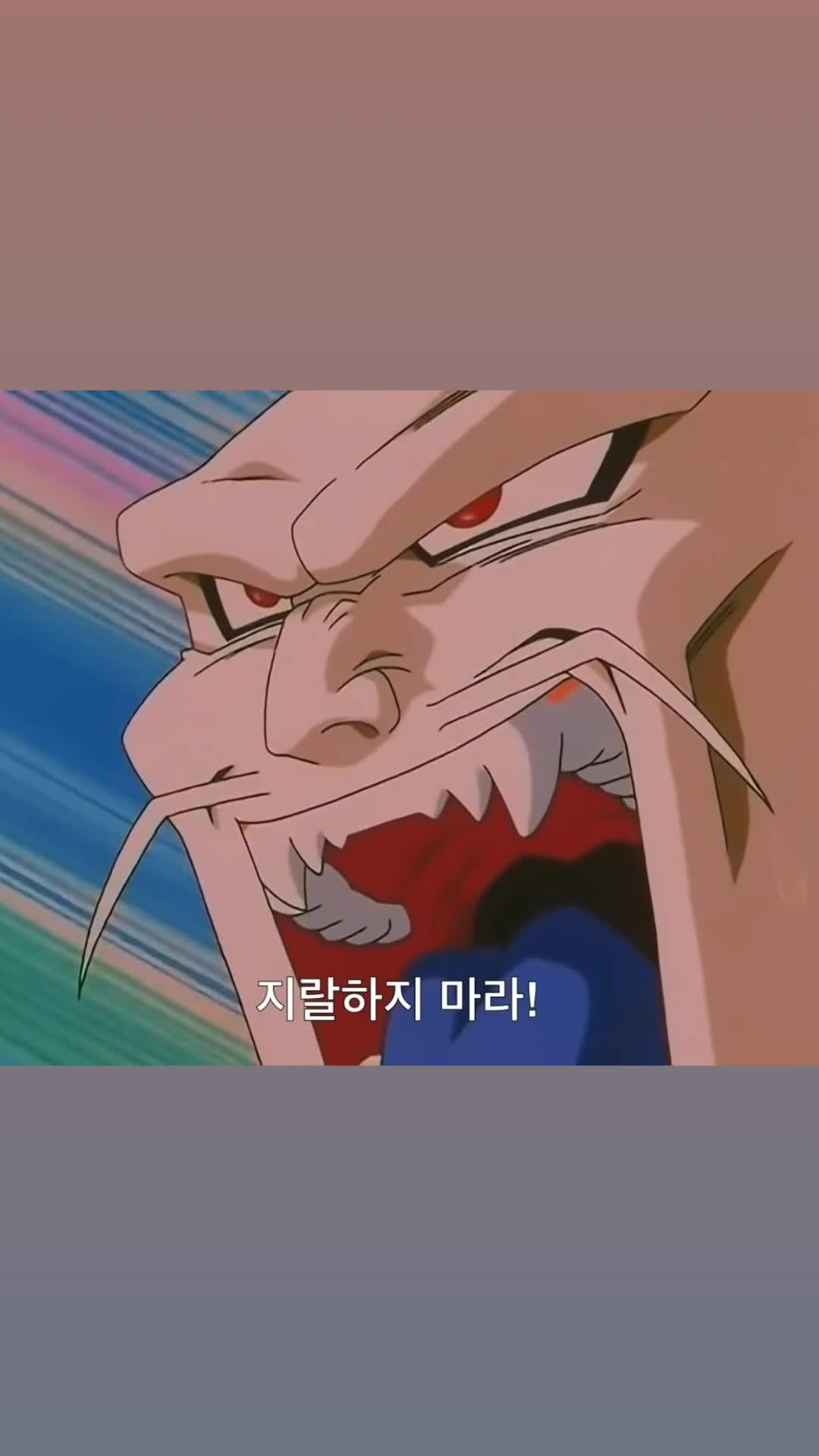 @슈퍼빵댕