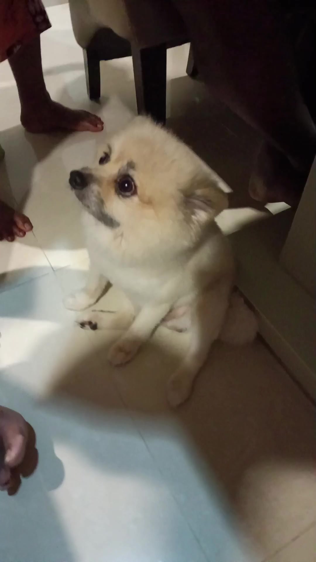 @Ayau