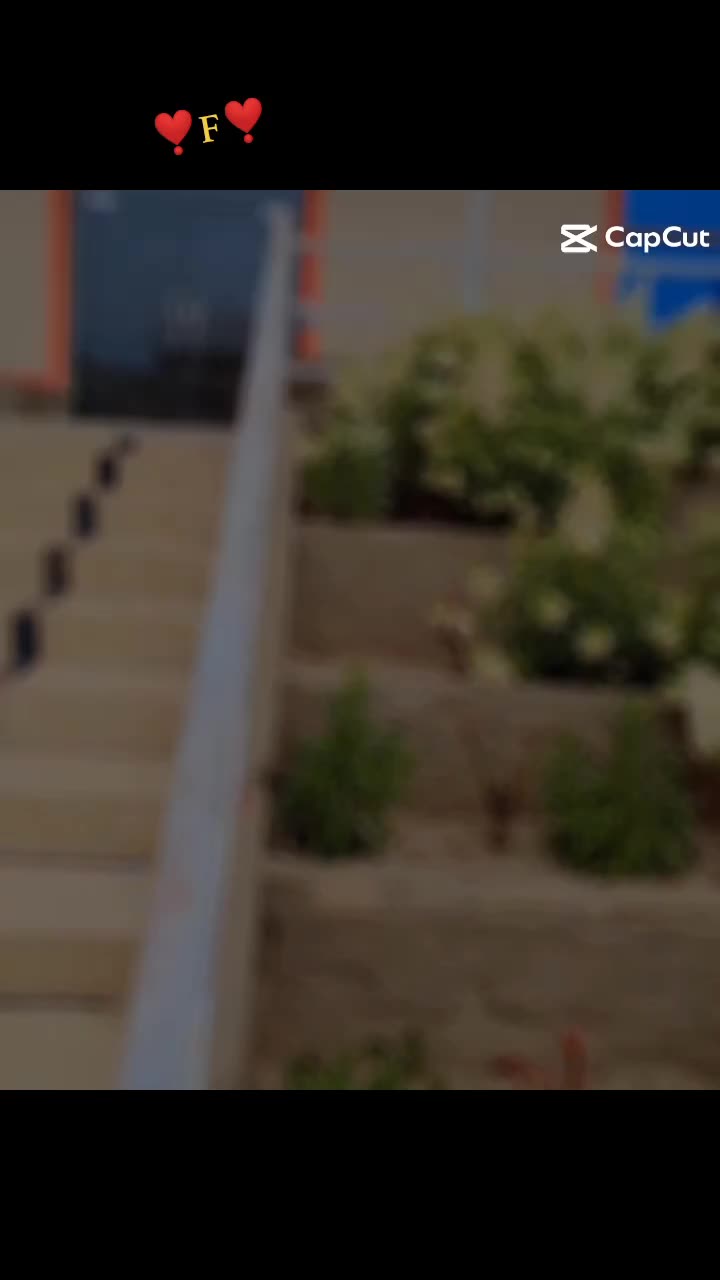 @꧁༒☬𝓟𝓸𝓹𝓪𝓵 صاب☬༒꧂