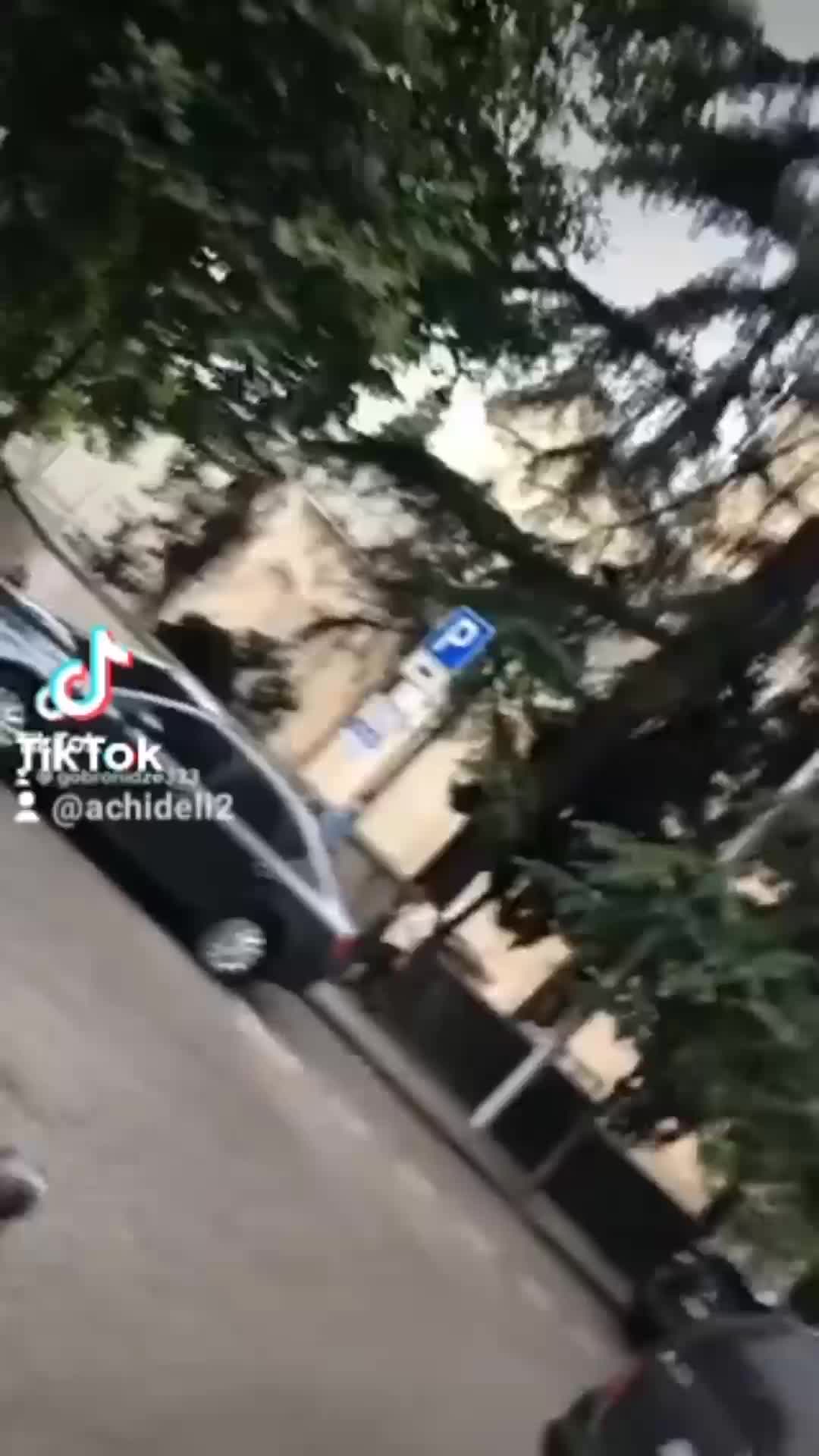 @damireke2