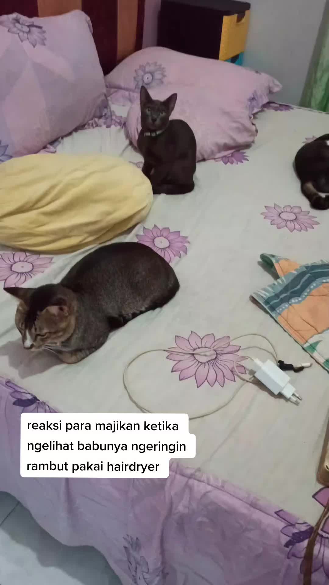 @Keluarga Manja R
