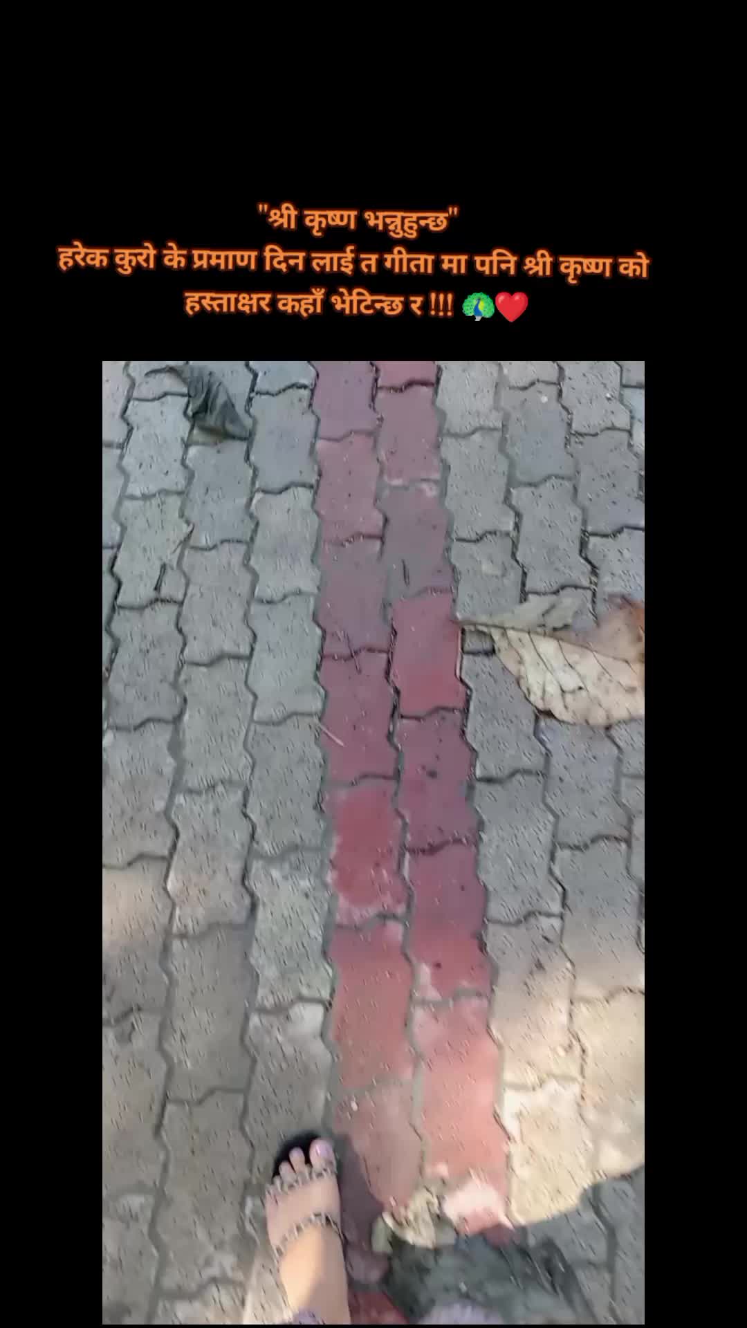 @Anzeyshrma