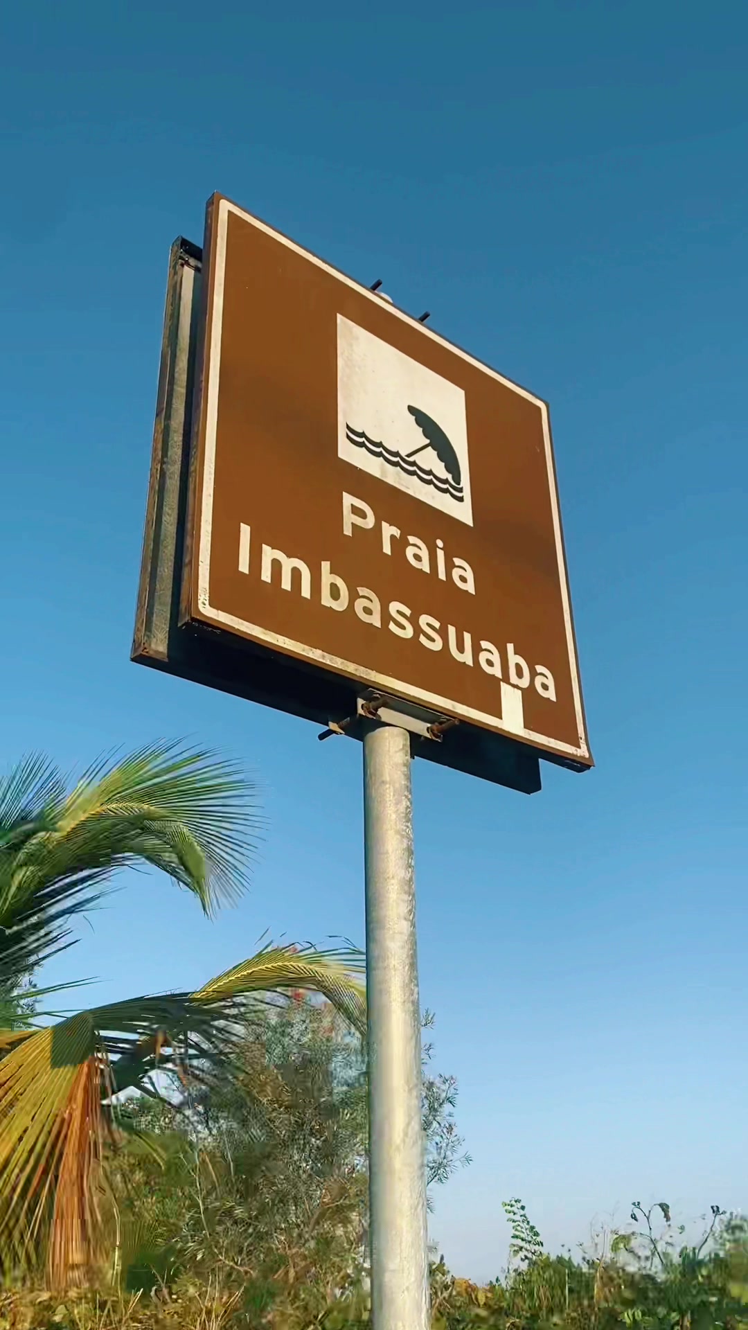 @Bruna Amaral