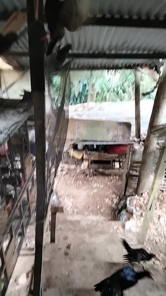@user884259025884