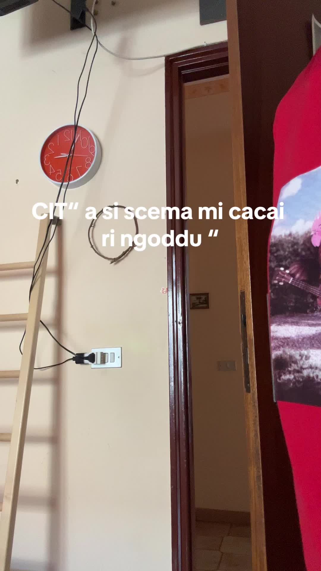 @Claudia Musumeci