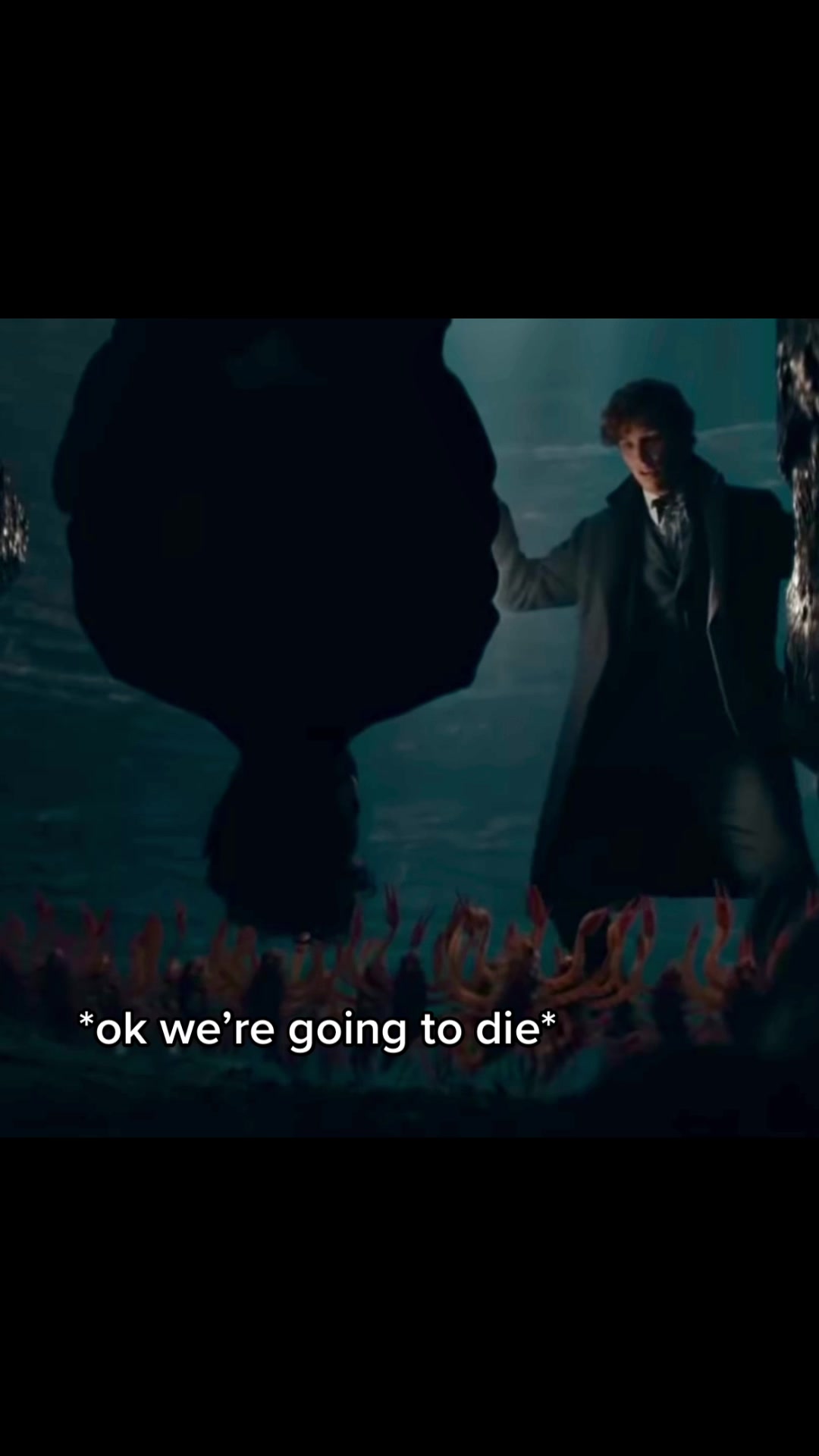 @your fave head auror