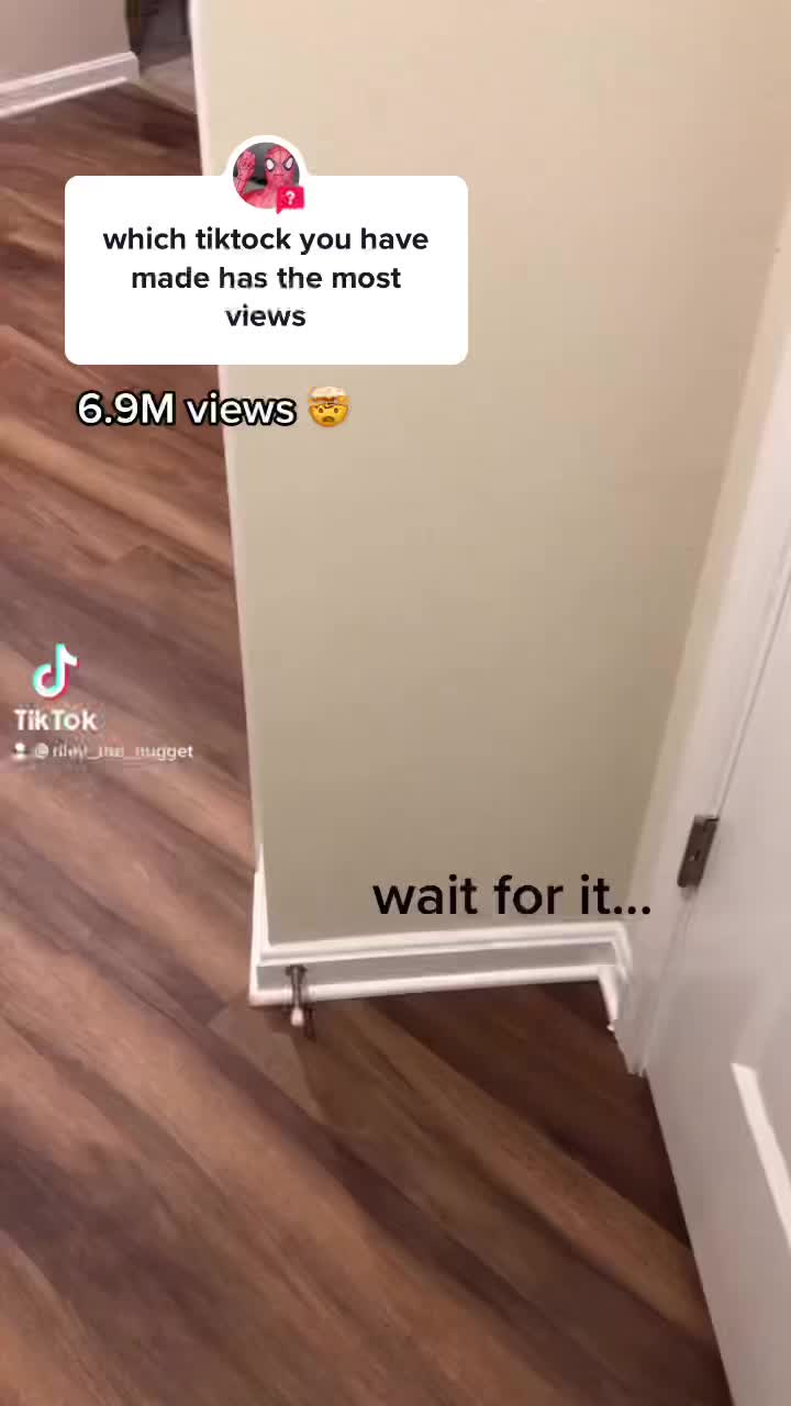 @riley_the_nugget