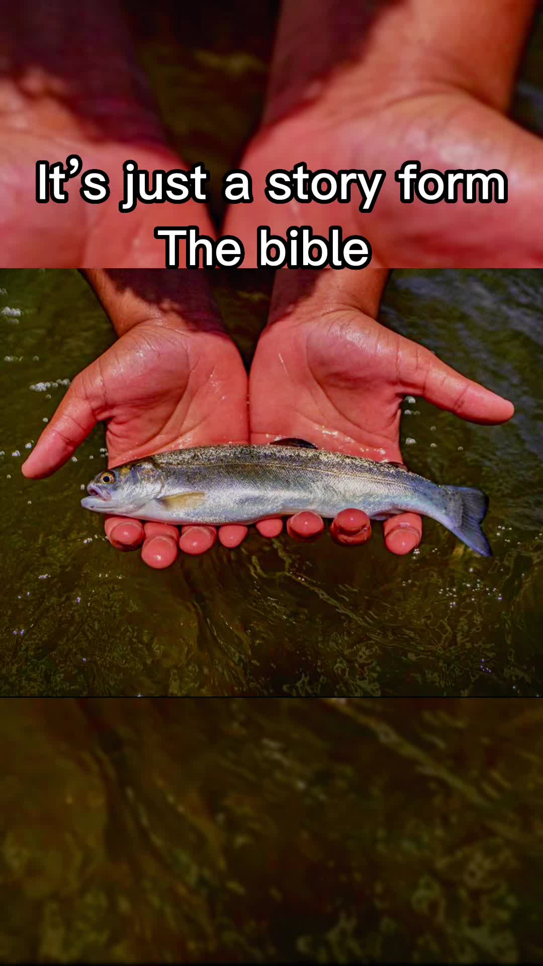 @DTFishin