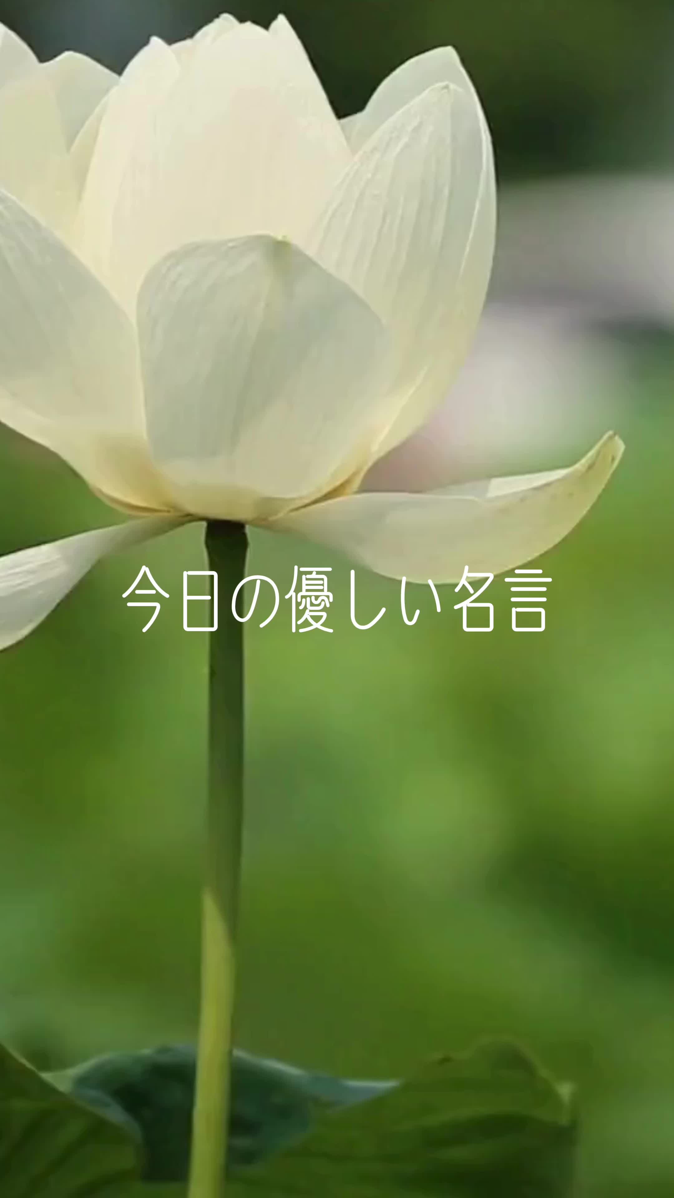 @gentlemorninginspiration