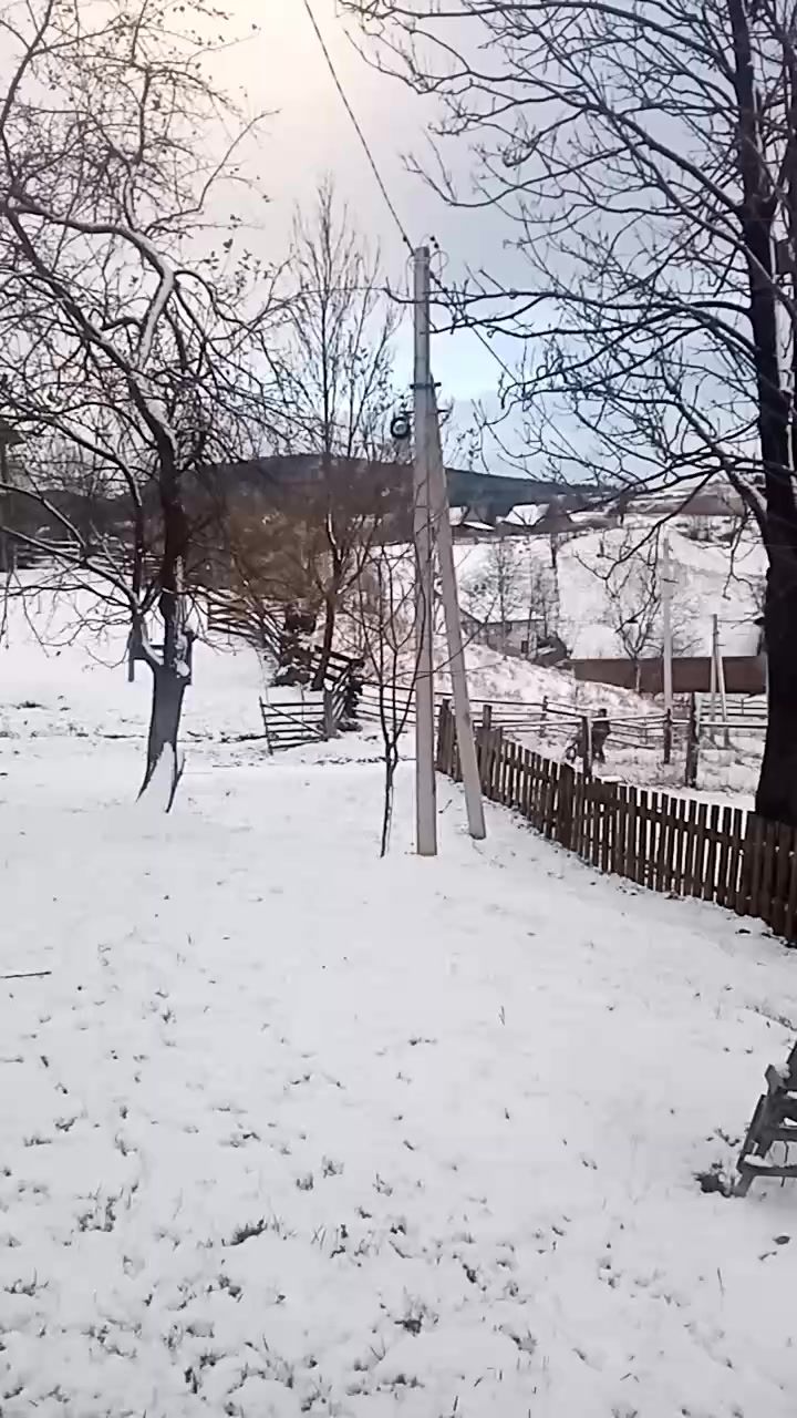 @ЗАКАРПАТТЯ РУЛИТЬ🇺🇦