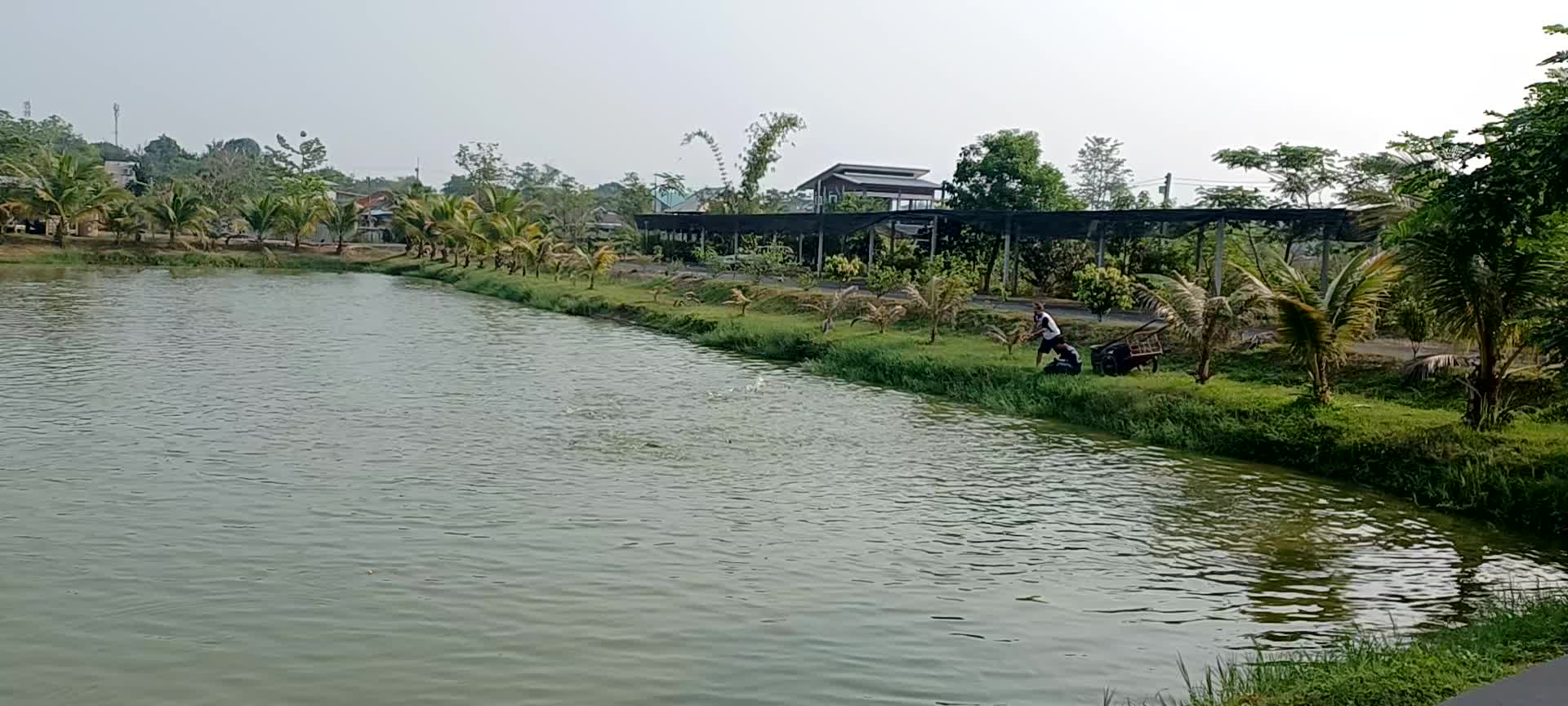 @Thai