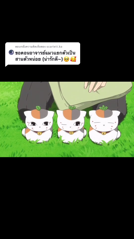 @Kaew Chabapri