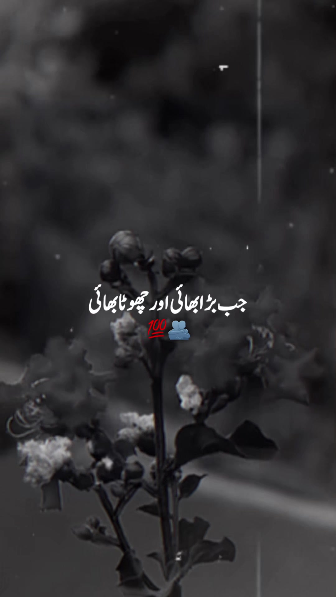 @پنڈا والے  راجپوت☘️☘️ظفر وال🤗