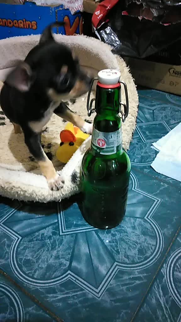 @Кака Мими😝