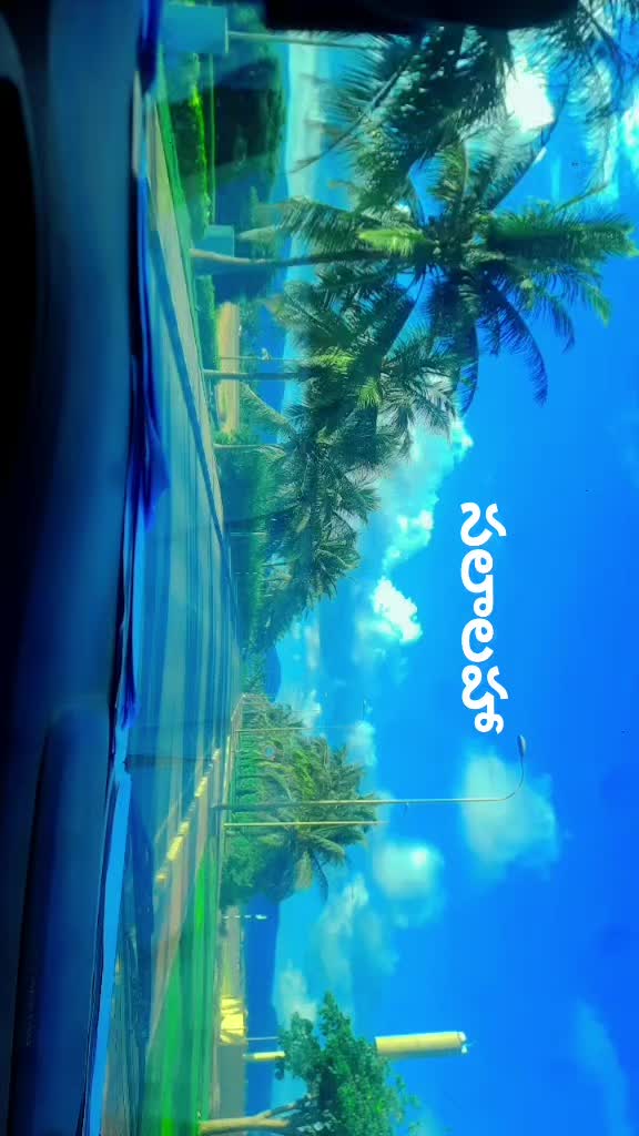 @ᴬᴺᴬᴺᴰ_ᴼᶠᶠᴵᶜᴵᴬᴸ🪐 🌴 ❤️🩹
